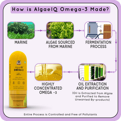 YogaManLab® AlgaeIQ Omega-3 with 800mg DHA | TEST