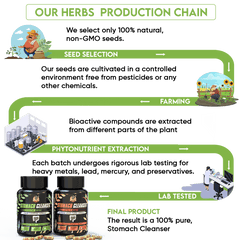 YogaManLab® STOMACH CLEANSER - Probiotic Detox & Flatter Belly Ayurvedic Supplement | 14-Days Program To Remove Constipation & Toxins | 100% Natural with Probiotics