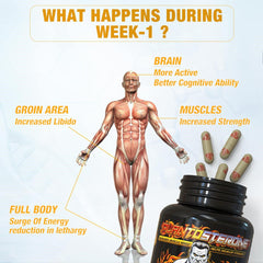 YogaManLab® PLANTOSTERONE - Muscle Building & Testo-Boosting Ayurvedic Supplement | Helps Gain Muscle Size & Weight, with Increase in Sexual Drive | 100% Natural