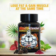 YogaManLab® PLANTOSTERONE - Muscle Building & Testo-Boosting Ayurvedic Supplement | Helps Gain Muscle Size & Weight, with Increase in Sexual Drive | 100% Natural