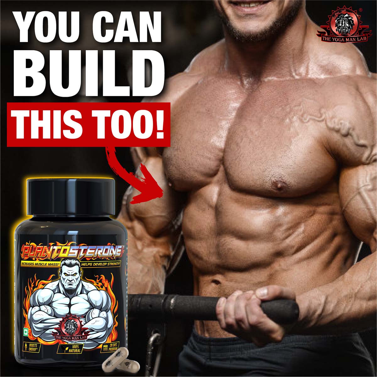 PLANTOSTERONE - Muscle Building & Testo-Boosting Ayurvedic Supplement | Helps Gain Muscle Size & Weight, with Increase in Sexual Drive | 100% Natural Health Care > Muscle Building > Muscle Growth > Supplement > Ayurvedic Weight Gain The Yoga Man Lab   