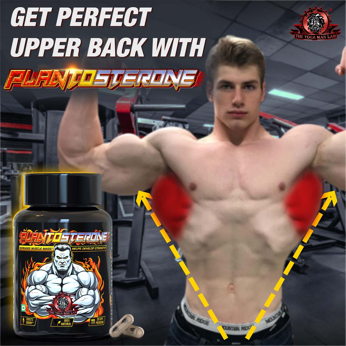 PLANTOSTERONE - Muscle Building & Testo-Boosting Ayurvedic Supplement | Helps Gain Muscle Size & Weight, with Increase in Sexual Drive | 100% Natural Health Care > Muscle Building > Muscle Growth > Supplement > Ayurvedic Weight Gain The Yoga Man Lab   