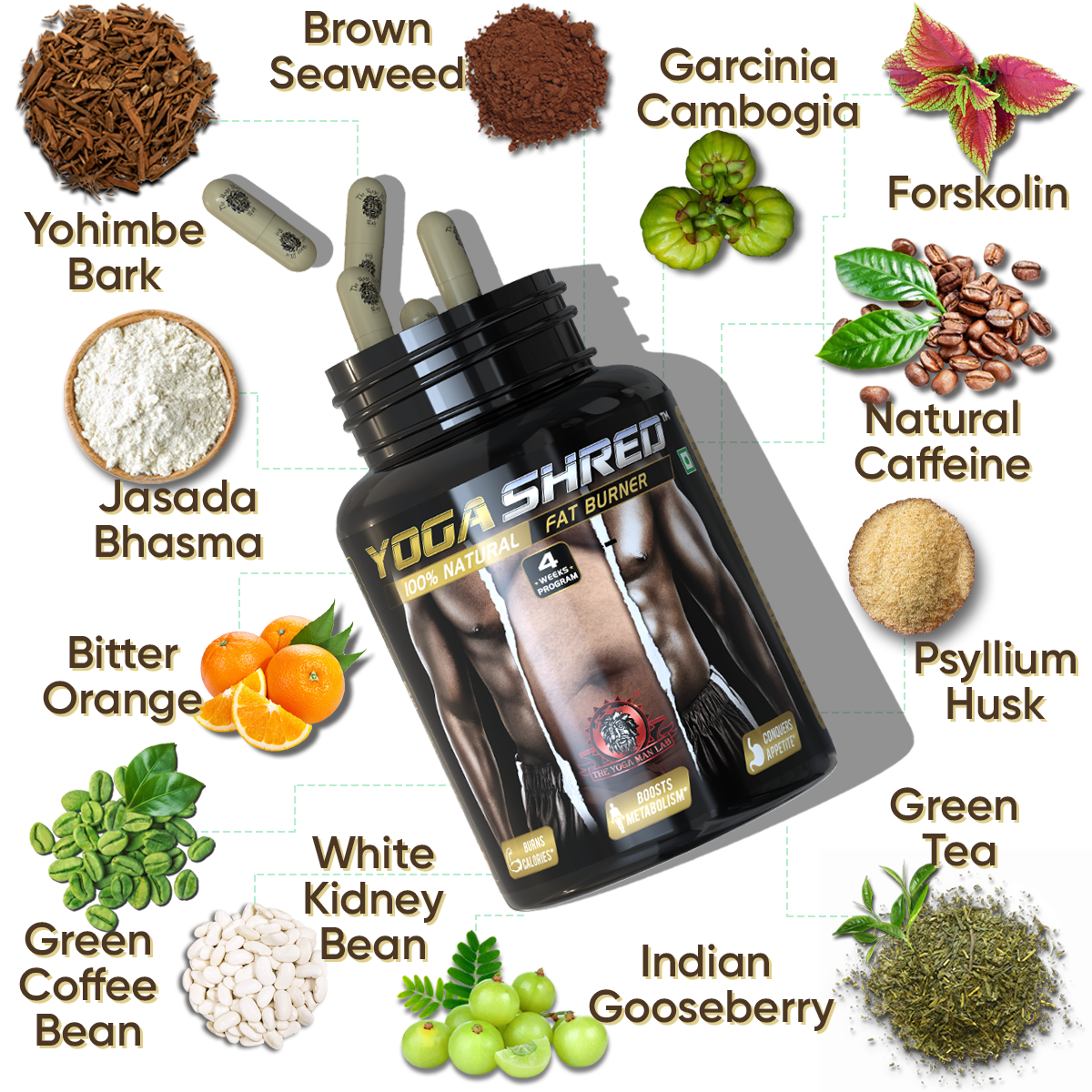 YOGA SHRED - Burn Fat At-Home Ayurvedic Supplement (Men) | Helps in Weight Loss & Boosting Energy | Ayurvedic & 100% Natural Health Care > Weight Loss > Fat Burner > Men > Supplement > Ayurvedic Fat Loss The Yoga Man Lab   